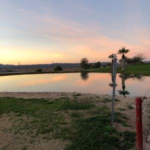 Meet your Posher, Isabel